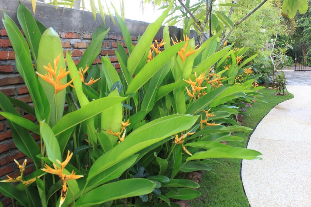 Albany Home Stay Kuta  Esterno foto
